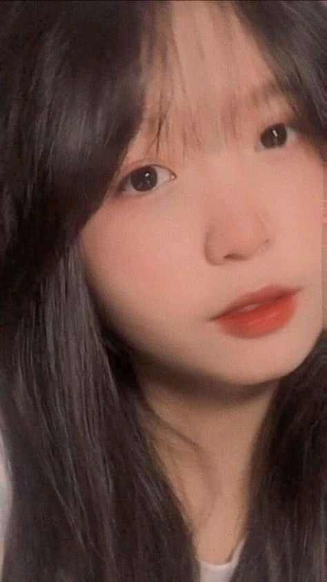 回复术士完整版第二季动漫